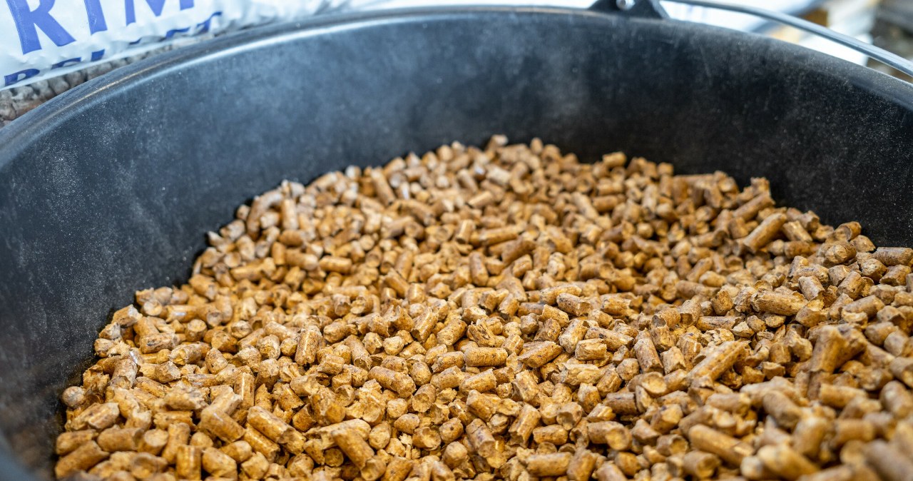 Pellet zniknął z półek. To wynik mrozów? "Ludzie rzucili się na hurtownie"