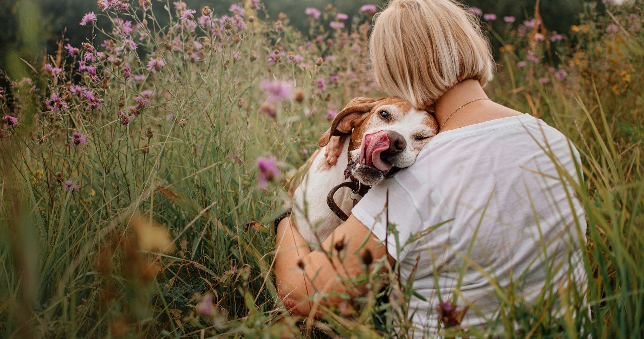 To tak jakby umarł ktoś z rodziny. Wielu Polaków nadal to wyśmiewa