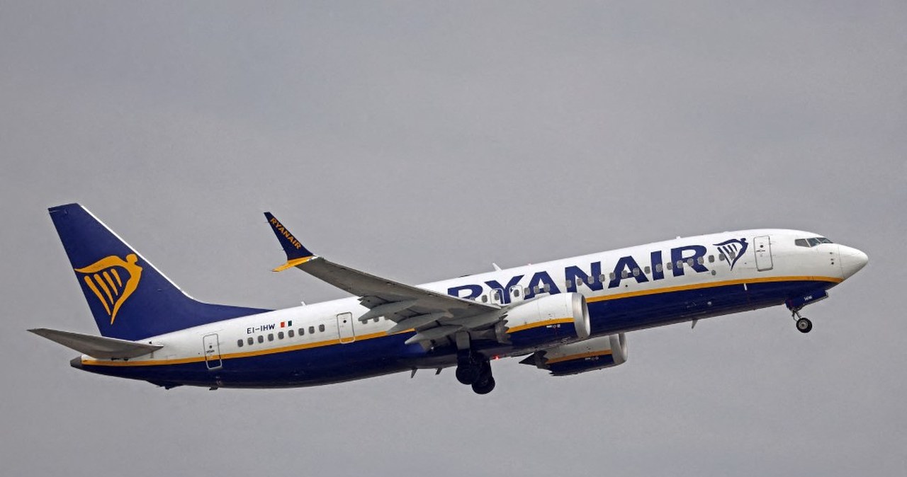 Dantejskie sceny na lotnisku w Hiszpanii. Atak pasażera, zapanował chaos