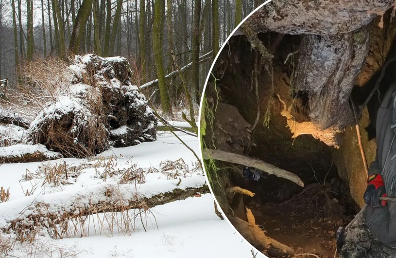 Zagadkowe miejsce w polskim lesie. Eksplorator zszedł do podziemi