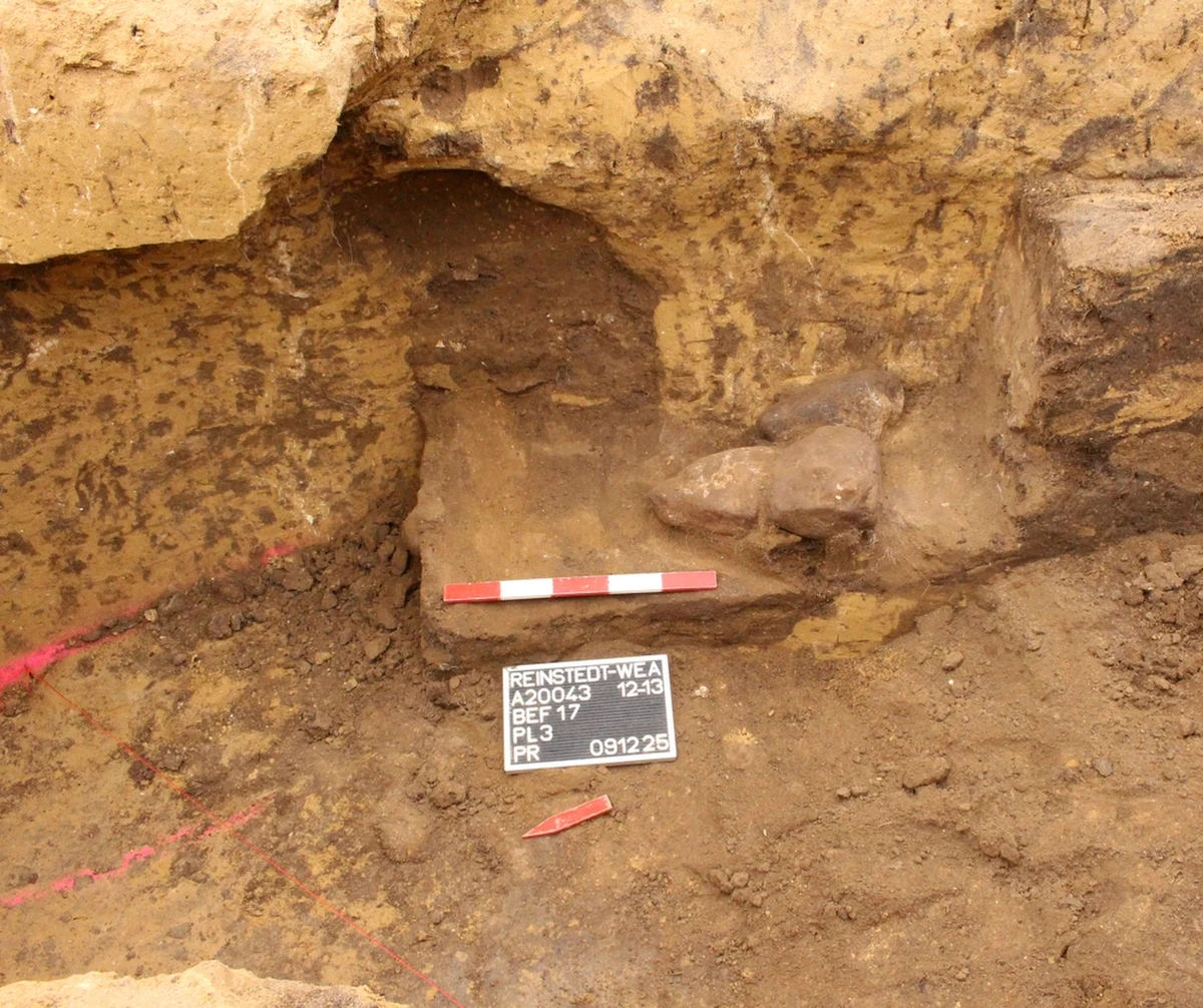 Niemiecka ziemia po raz kolejny zaskakuje archeologów. Podczas rutynowych prac poprzedzających budowę farmy wiatrowej, naukowcy z Landesamt für Denkmalpflege und Archäologie (LDA) natrafili na znalezisko, które już teraz określane jest mianem sensacji dekady. W sercu pradawnej nekropolii odkryto Erdstall – zagadkowy system podziemnych tuneli, którego przeznaczenie od wieków pozostaje tajemnicą.