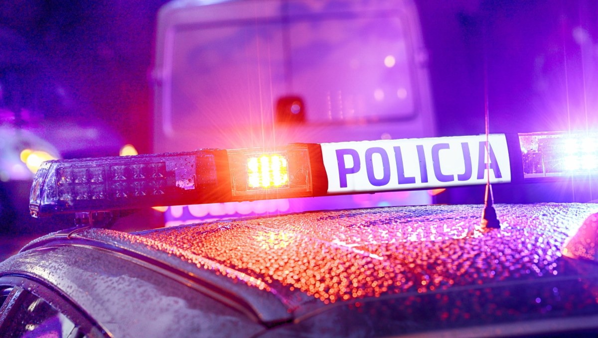 Makabryczne odkrycie. Ludzkie szczątki znalezione w rowie