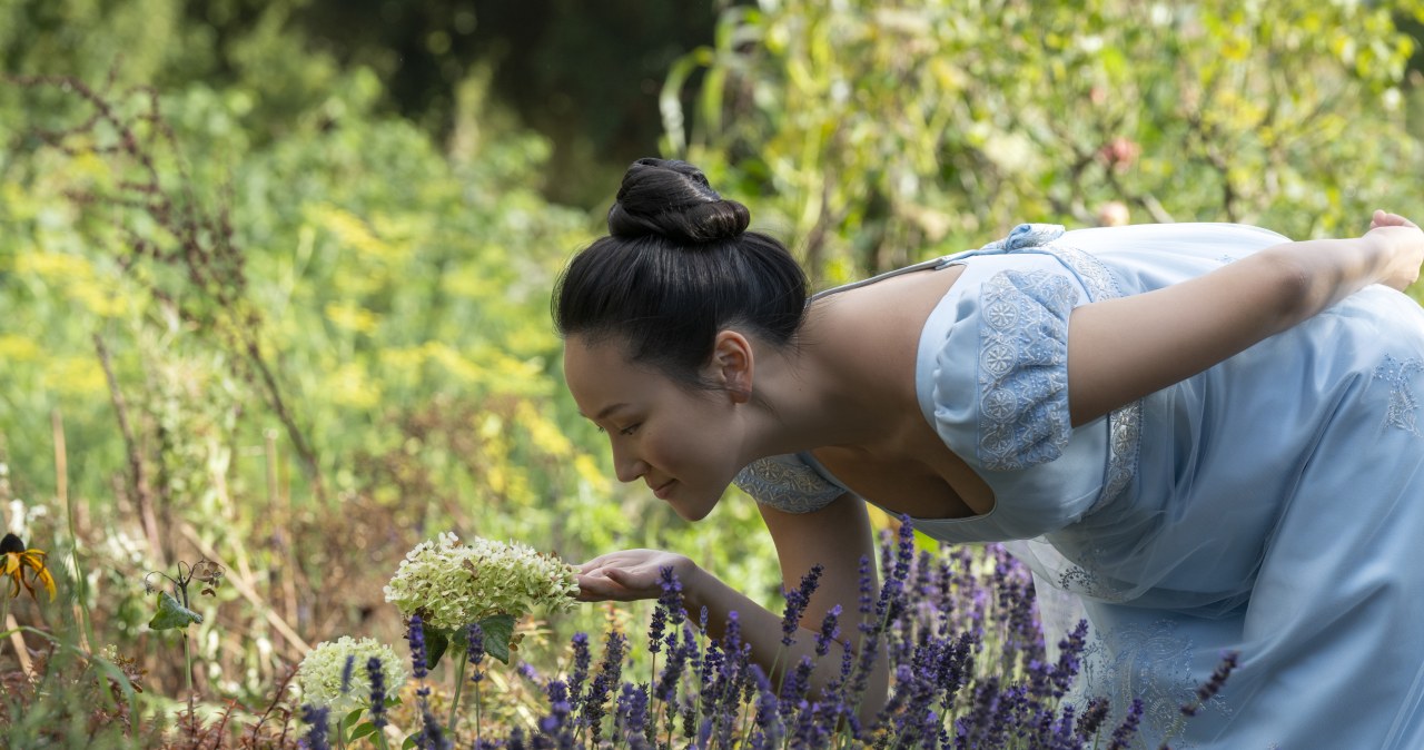 Mickey Haller triumfuje! "Prawnik z Lincolna" wraca na szczyty!