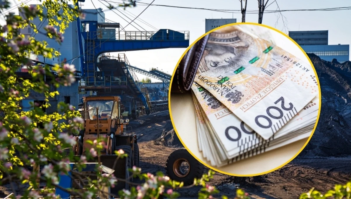 Zarząd Jastrzębskiej Spółki Węglowej zdecydował o obniżeniu swoich wynagrodzeń w związku z trudną sytuacją finansową firmy - poinformowała spółka w oficjalnym komunikacie. To kolejny krok w ramach szeroko zakrojonego planu restrukturyzacji, który ma na celu poprawę kondycji finansowej największego producenta wysokiej jakości węgla koksowego w Unii Europejskiej.