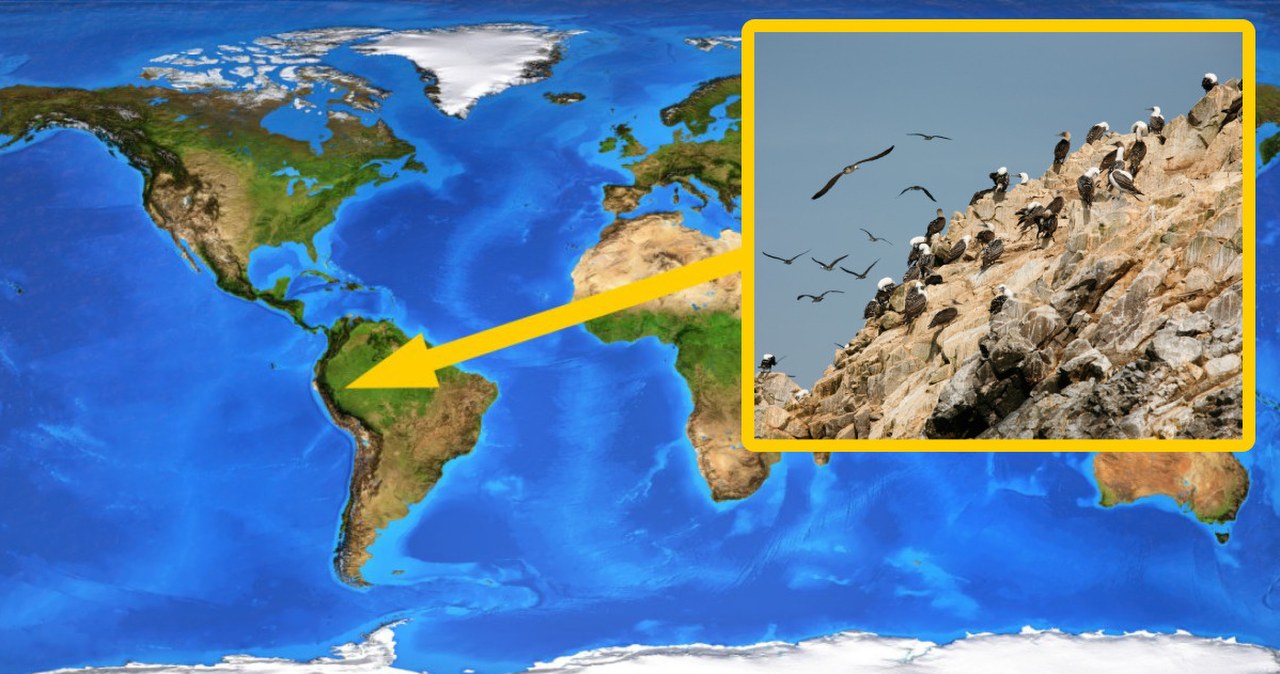 Cuchnący skarb stworzył andyjską potęgę. Na długo przed Inkami