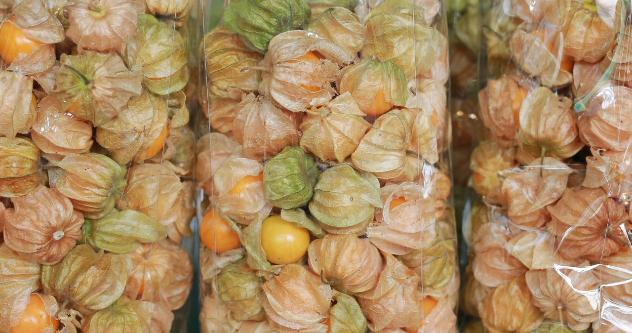 "Lampiony", które czarują oczy. W środku mają coś dla serca i wątroby