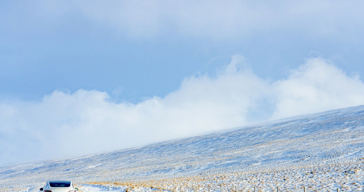 Ostrzeżenie dla Arktyki. Czeka ją inwazja aż 2 tys. gatunków Ostrzeżenie dla Arktyki. Czeka ją inwazja aż 2 tys. gatunków