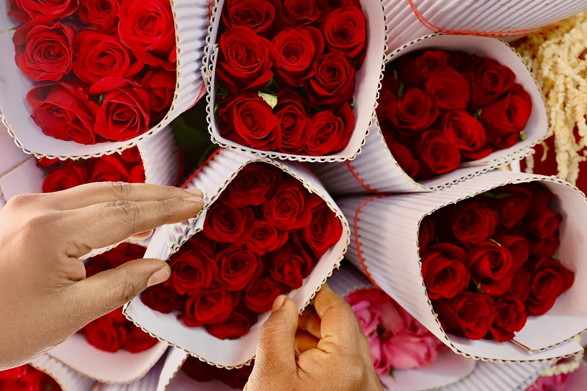 W Walentynki powraca pytanie: czy miłość to wyłącznie gra hormonów i ewolucji, czy może coś znacznie głębszego? Naukowcy przekonują, że choć biologia tłumaczy wiele, prawdziwe piękno miłości kryje się w jej złożoności.