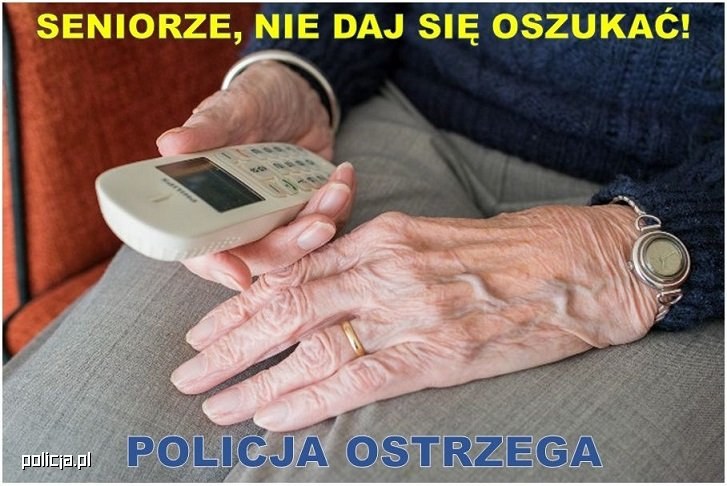 /Policja /