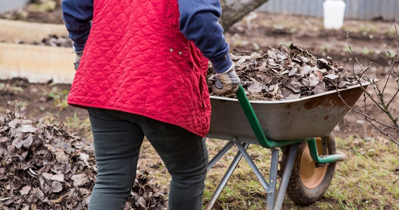 Najważniejsze marcowe prace w ogrodzie. Nie zrobisz, będziesz żałować