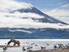 Planeta doskonała: kulisy