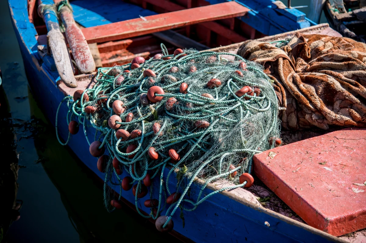 Nielegalne połowy ryb u wybrzeży Afryki - w ten sposób objęta zachodnimi sankcjami Rosja zapewnia sobie pieniądze niezbędne do kontynuowania wojny z Ukrainą. Według "ADF", magazynu wojskowego wydawanego przez Dowództwo USA w Afryce (AFRICOM), dziesiątki rosyjskich trawlerów na masową skalę prowadzą nielegalne połowy w wyłącznych strefach ekonomicznych zachodnioafrykańskich krajów od Maroka na północy po Namibię na południu kontynentu.