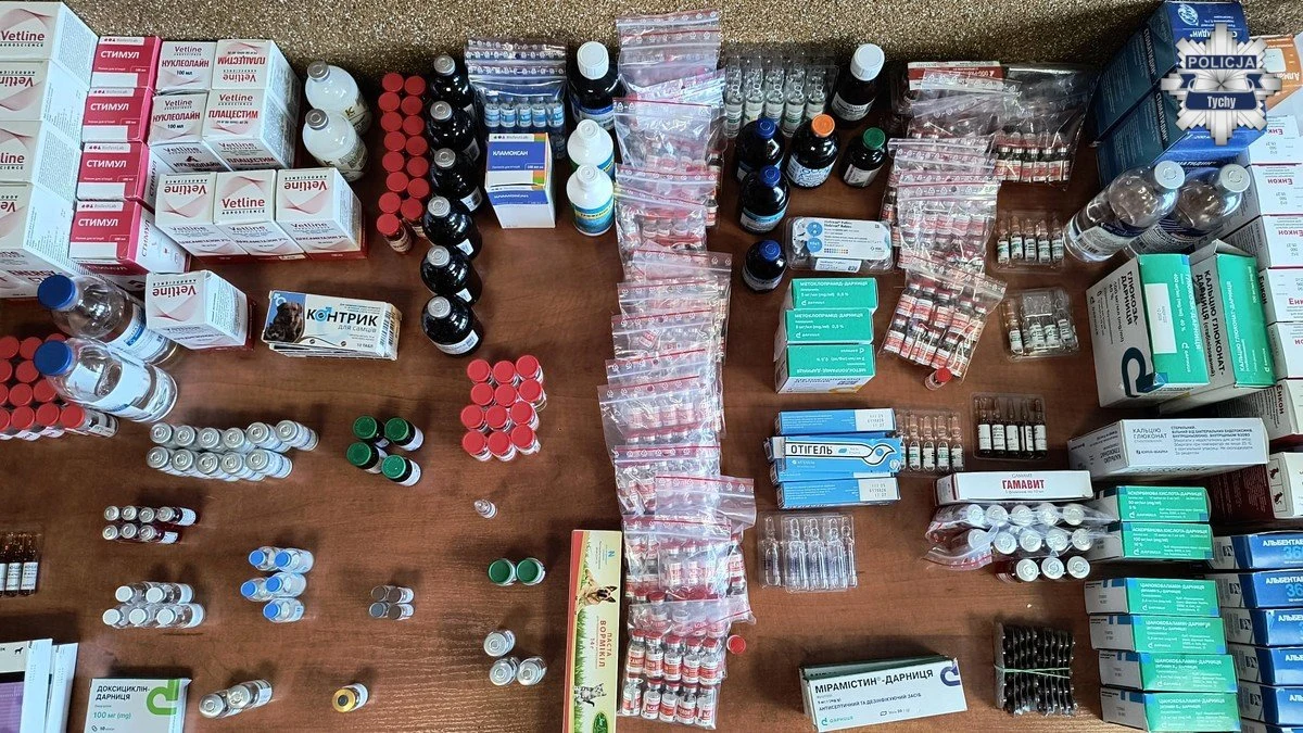 Tyscy policjanci zatrzymali mieszkańca Chorzowa, który sprowadzał z Ukrainy nielegalne środki farmaceutyczne i sprzedawał je weterynarzom w Polsce. Zabezpieczono kilkaset opakowań leków, które nie były dopuszczone do obrotu i nie nadawały się do leczenia zwierząt.