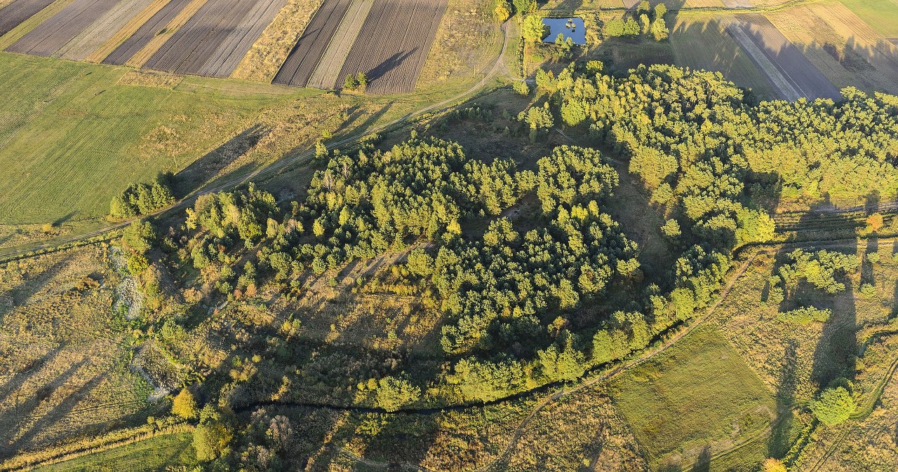 Potężny gród zobaczymy z wieży. Rewitalizacja grodziska w Chodliku