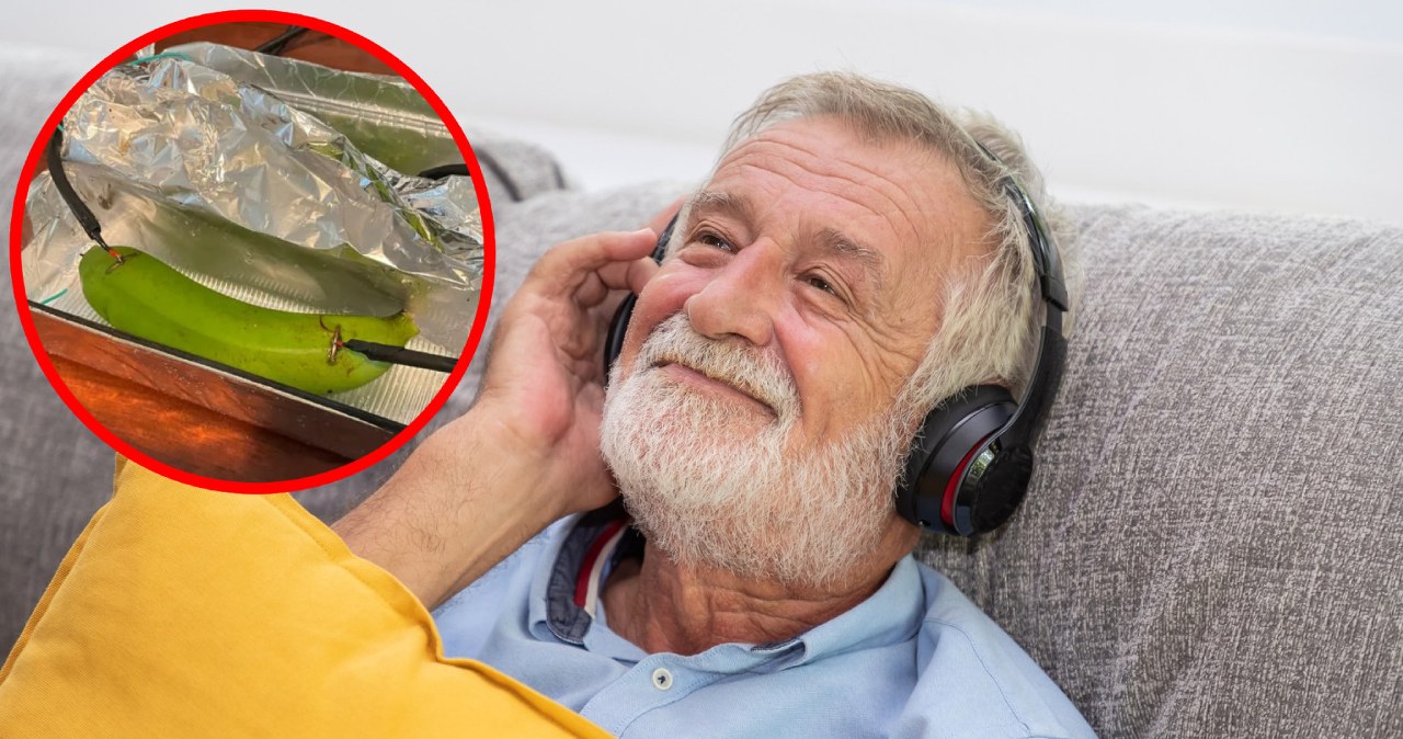 Przepuścił muzykę przez banana. Czy audiofile wyczuli różnicę?