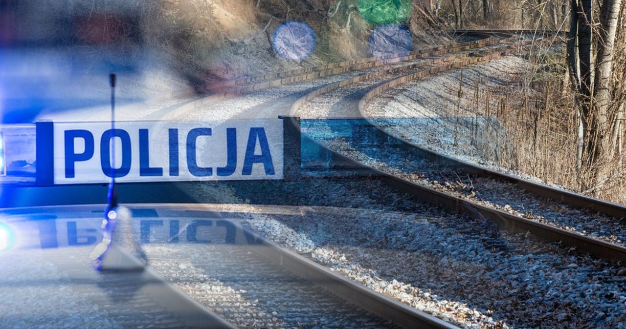 Puławy. 25-latek zatrzymany w pociągu. Miał dokumenty w języku rosyjskim