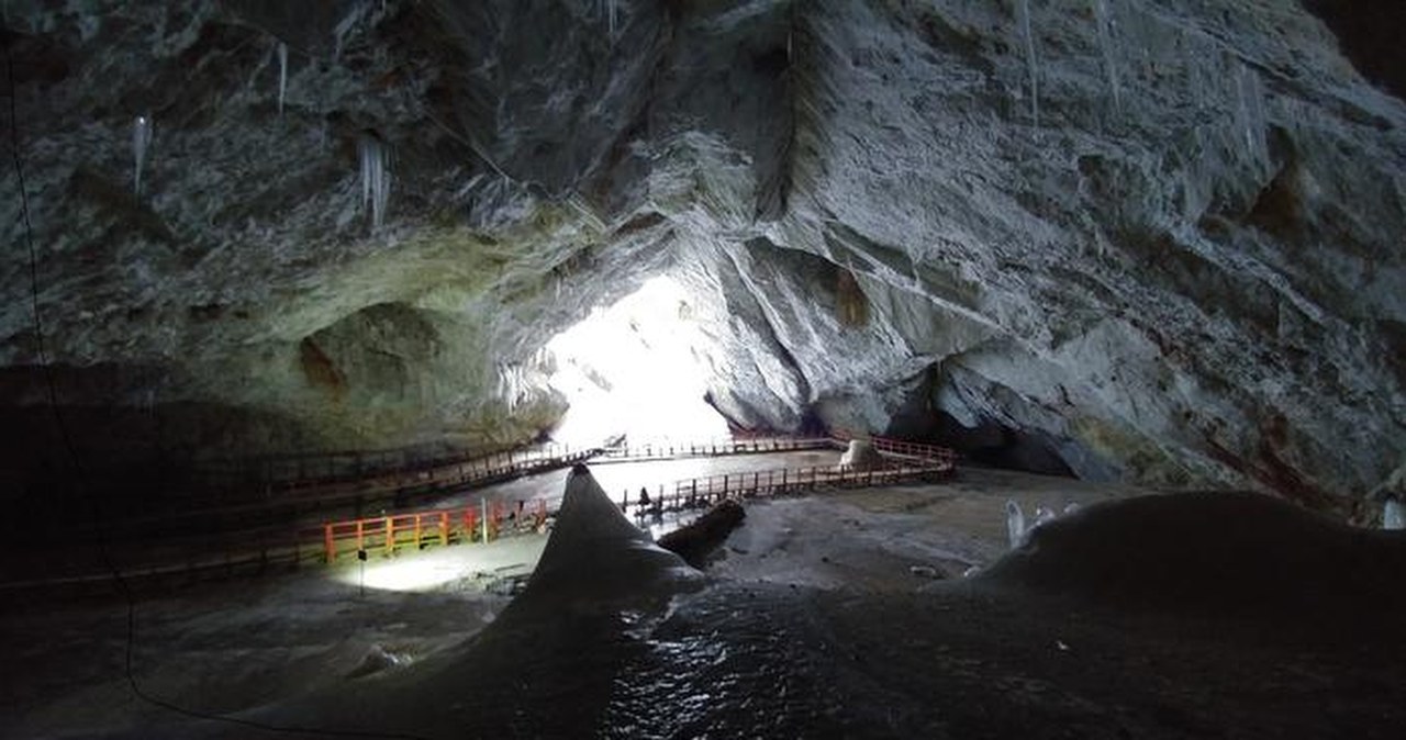 Bakteria zaskoczyła naukowców. Była zamrożona w jaskini 5000 lat