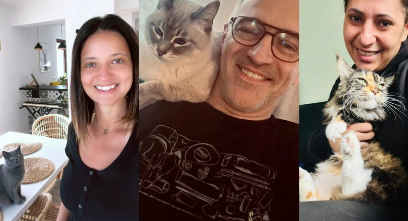 Gwiazdy TV4 uczciły Dzień Kota. Zdobyły się na piękny gest
