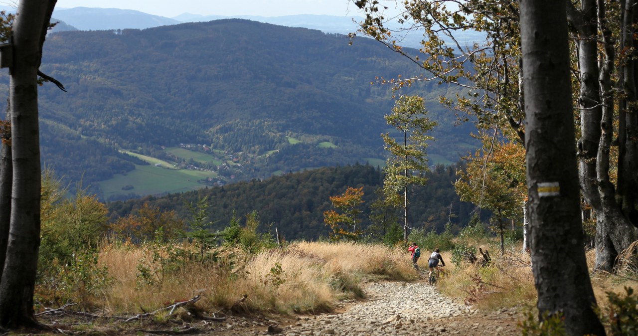 To najczęściej powielany wycieczkowy mit. Prawdziwe znaczenie zaskakuje