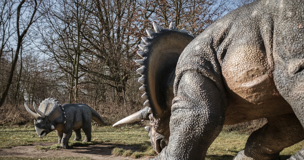 Zbadali głowę jednego z najsłynniejszych dinozaurów. Miał coś zaskakującego