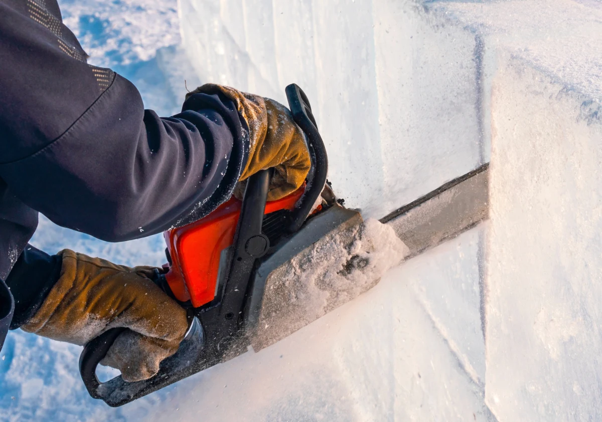 ​Nietypowa metoda przygotowań do wiosennych nasadzeń drzew w Nadleśnictwie Szczebra. Leśnicy z powiatu augustowskiego gromadzą bryły lodu, które posłużą do stworzenia specjalnych schronów dla sadzonek. Dzięki temu młode drzewa mają większe szanse na przyjęcie się w lesie.