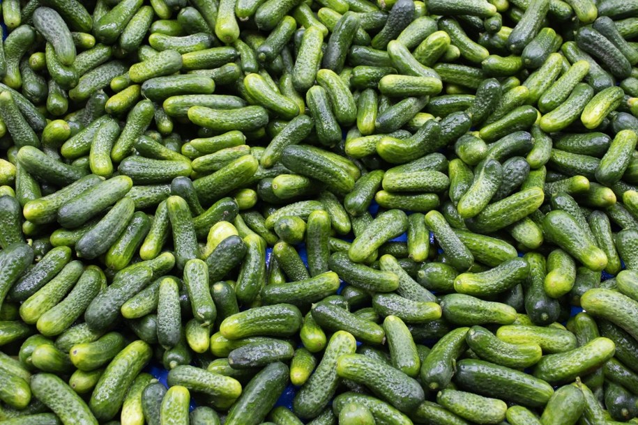 "Pierwsza oznaka zbliżającej się wiosny" już w Broniszach