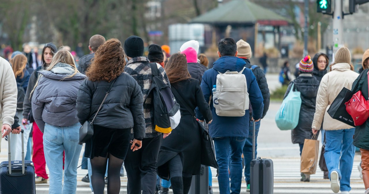 Bezrobocie, grupowe zwolnienia. Jak wygląda rynek pracy w Polsce? Bezrobocie, grupowe zwolnienia. Jak wygląda rynek pracy w Polsce?