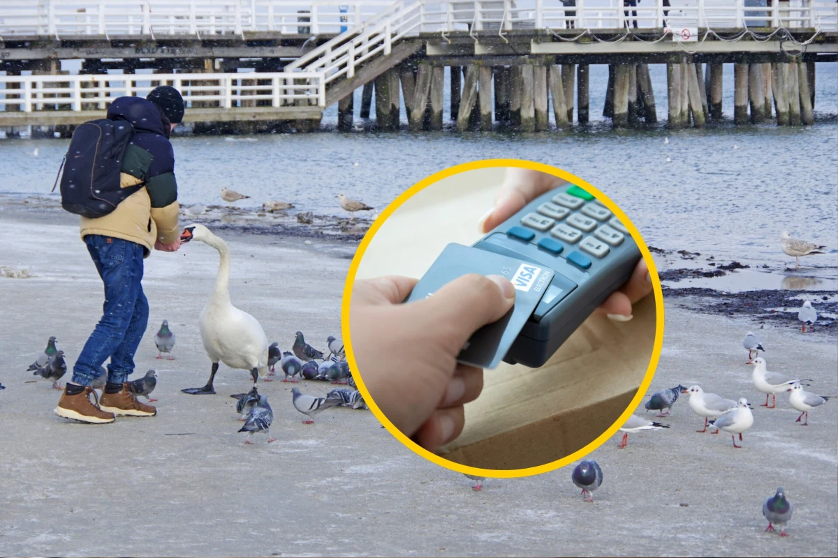 Sopocka Organizacja Turystyczna sprawdziła, skąd pochodzą turyści, którzy w 2025 r. wydali najwięcej w czasie pobytu w nadmorskim kurorcie. Wykorzystano do tego dane udostępnione przez jednego z operatorów kart płatniczych. 