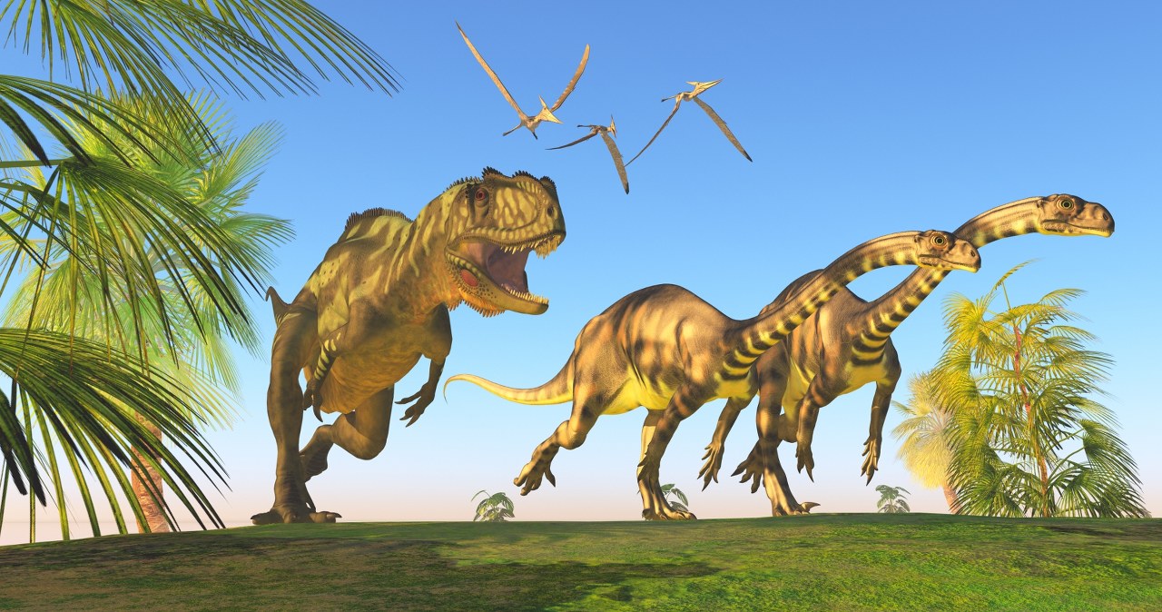 Znaleźli przodka największych gigantów świata. Rodzi się niedowierzanie Znaleźli przodka największych gigantów świata. Rodzi się niedowierzanie