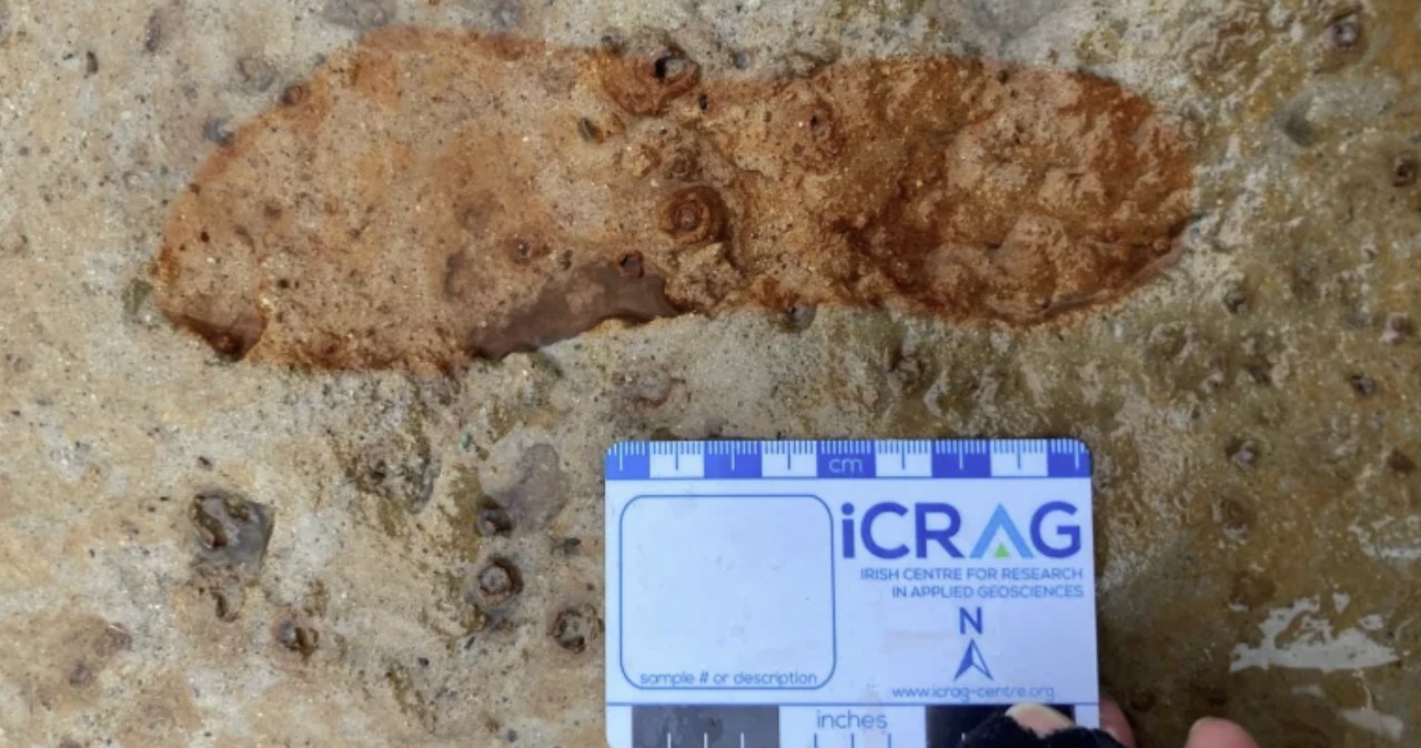 Wyścig z czasem. Odkryli starożytne ślady stóp na szkockiej plaży