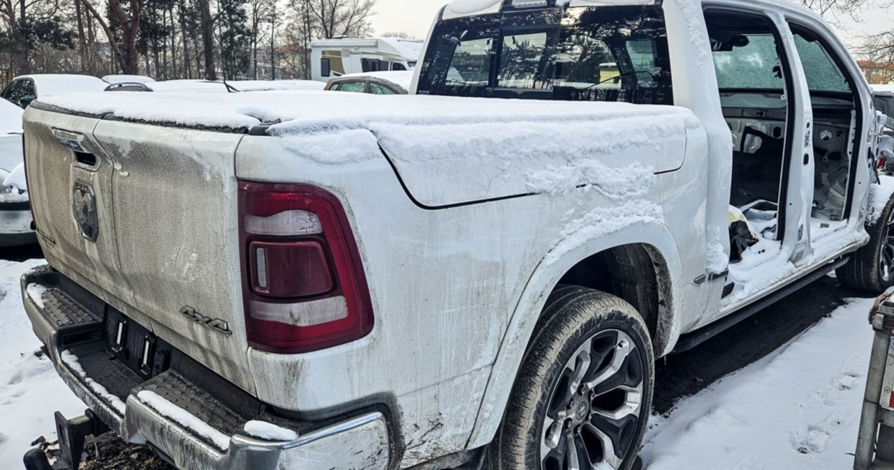 Dziupla dla prawdziwych koneserów. Policja odzyskała niezwykłe samochody