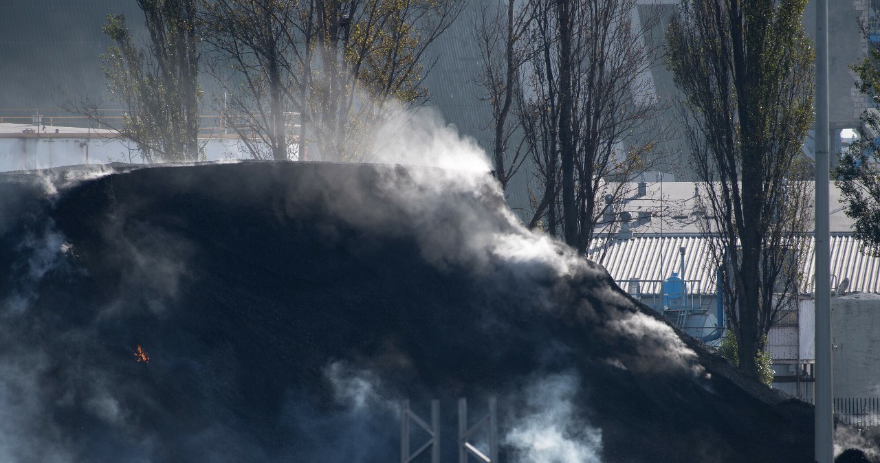 Rzecznik rządu uderza w PiS ws. zakupów węgla. "Wzięliby łopatę"