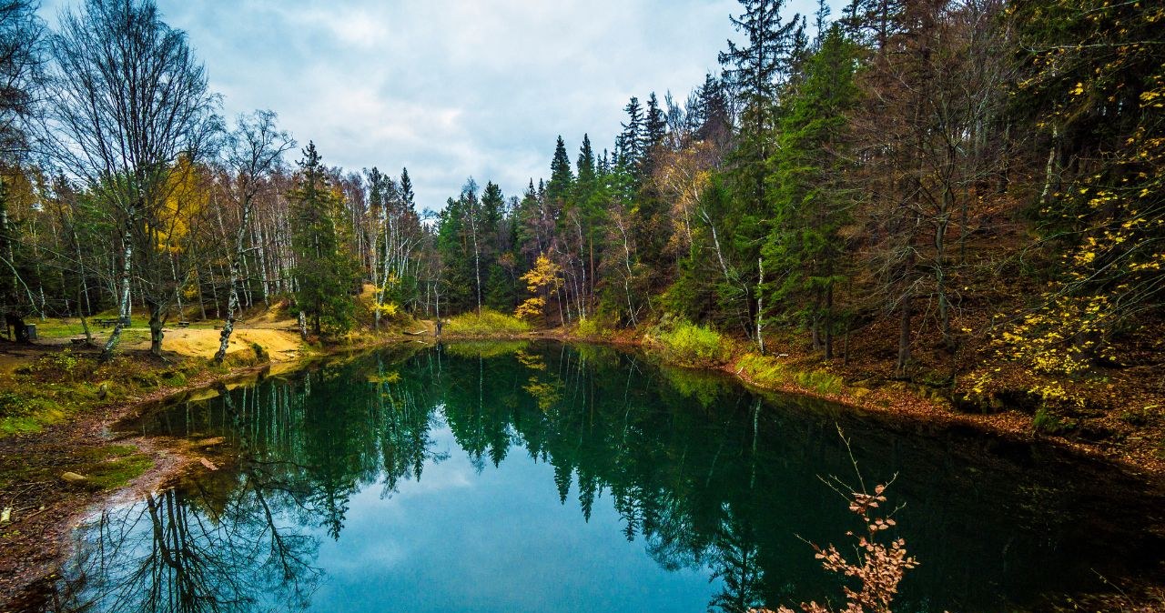 Nie musisz lecieć za granicę. Te zakątki w Polsce zachwycają wiosną