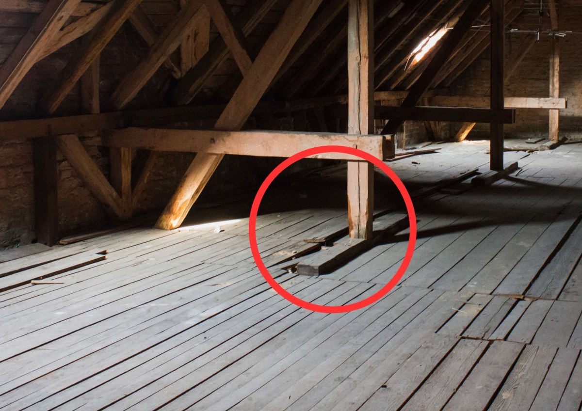 Niezwykłe odkrycie w Gliwicach. Przeleżał dekady ukryty pod podłogą