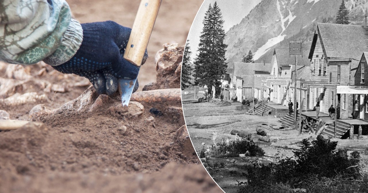 Odkryli ślady miasteczka, które zniknęło w XIX w. Tysiące obiektów