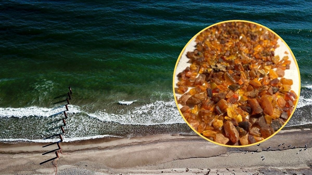 Bałtyk wyrzucił na brzeg prawdziwe skarby. Polacy ruszyli na łowy