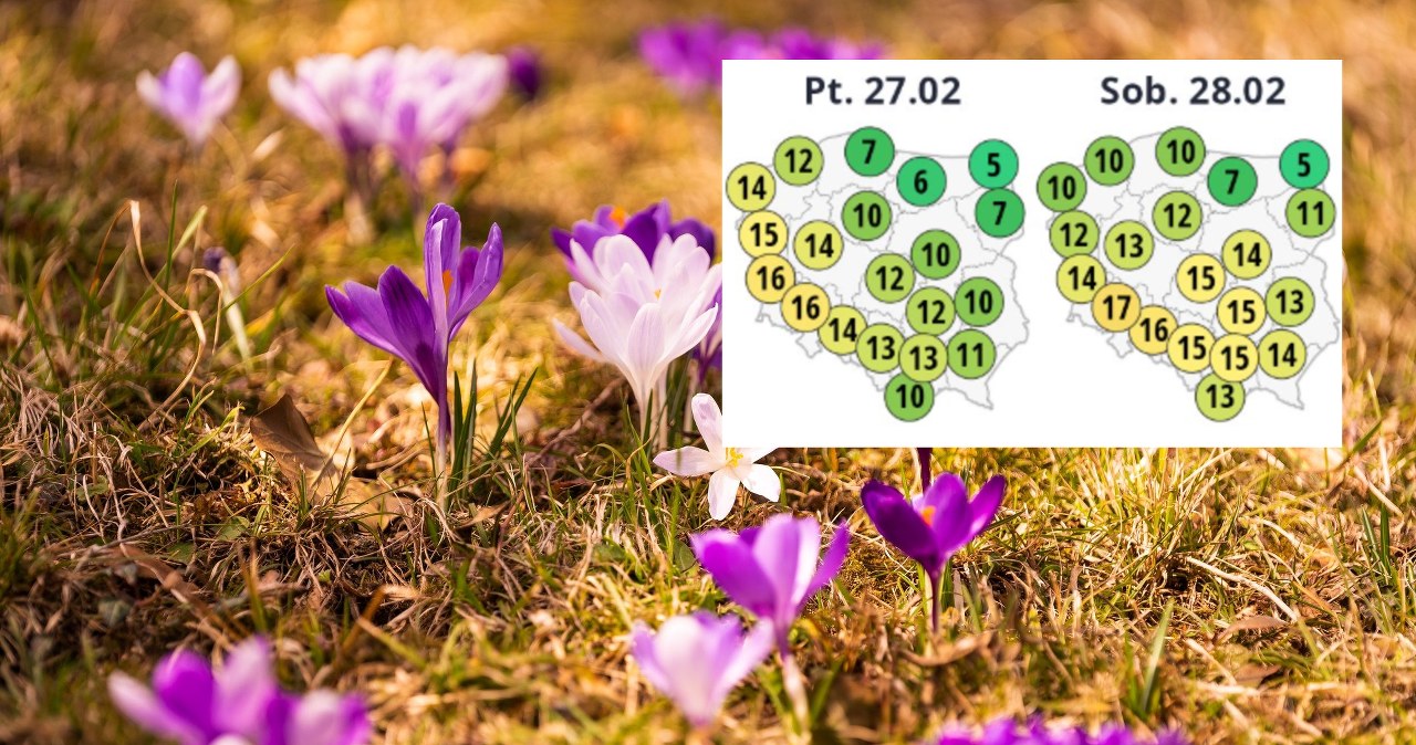 Wiosna jeszcze w lutym. Rekordowe ocieplenie w weekend