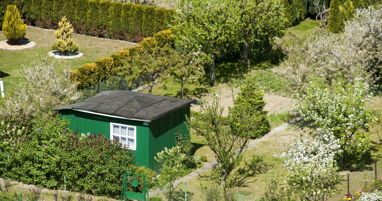 Nielegalna studnia na działce? Możliwe choćby 5000 zł mandatu