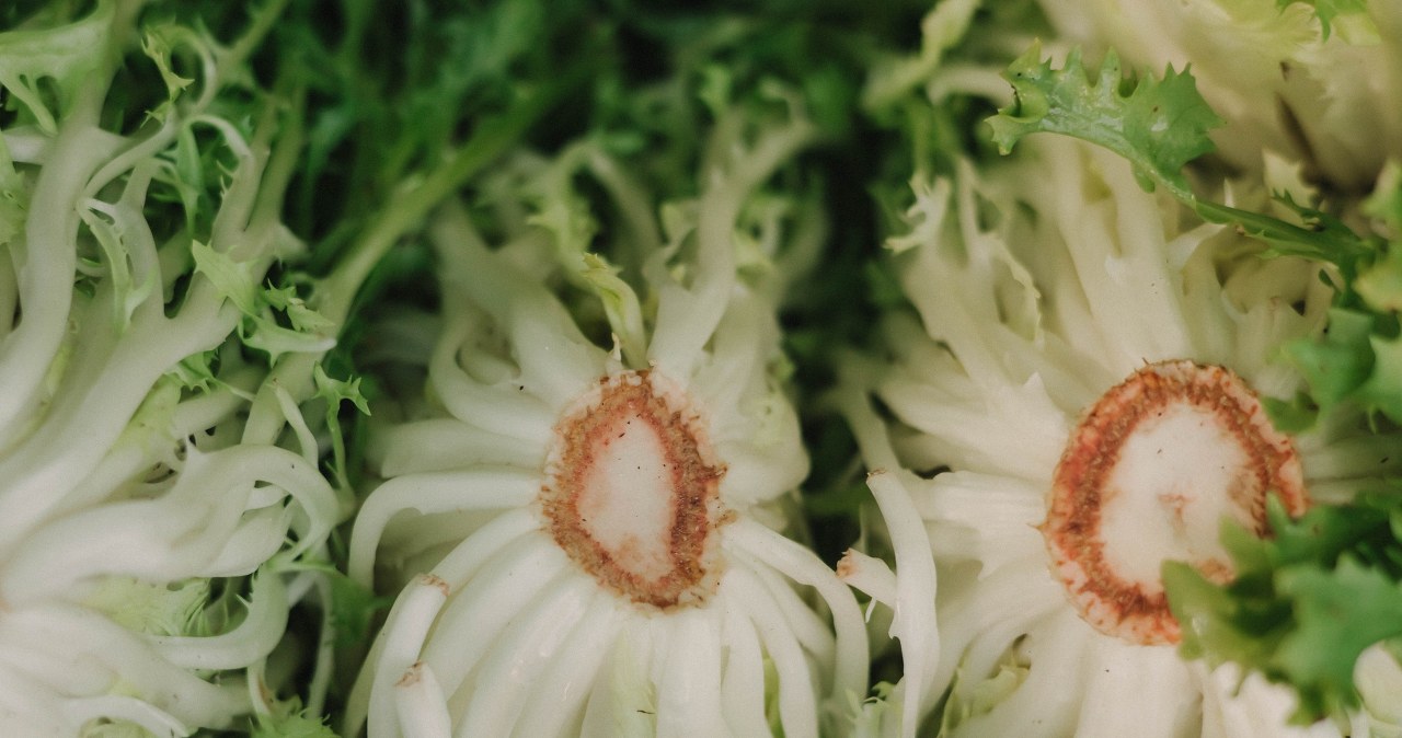 Gorzka w smaku, dla serca jest jak balsam. Jedz, kiedy masz ochotę