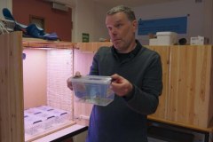 Rolnictwo przyszłości