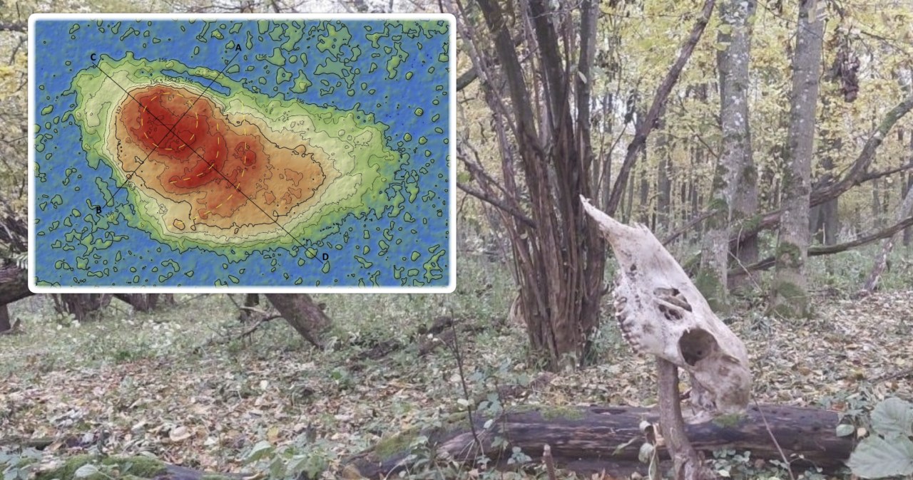 Odkryli 244 zabytki z epoki Piastów. Archeolodzy mówią o skarbach