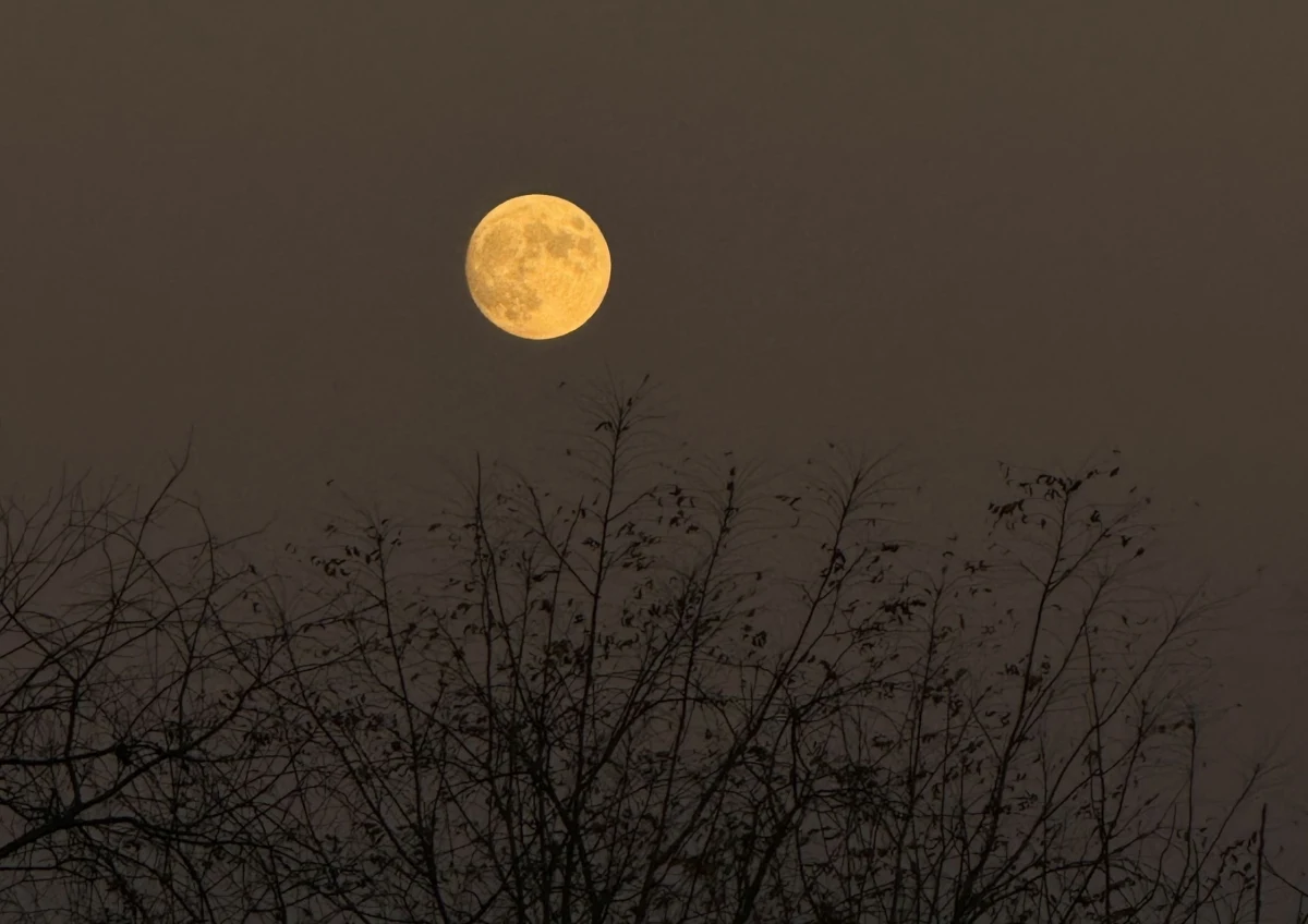Pełnia Księżyca 2026 przypadnie we wtorek 3 marca. Marcowe zjawisko, znane jako Robaczy księżyc, od lat symbolicznie otwiera wiosenną część astronomicznego kalendarza. Tego samego dnia dojdzie również do całkowitego zaćmienia - a to oznacza szansę na tzw. krwawy księżyc, gdy tarcza przybiera ciemnoczerwony odcień. Czy ten niecodzienny spektakl będzie widoczny w Polsce? Kiedy pełnia księżyca 2026 najpiękniej zaprezentuje się na niebie?