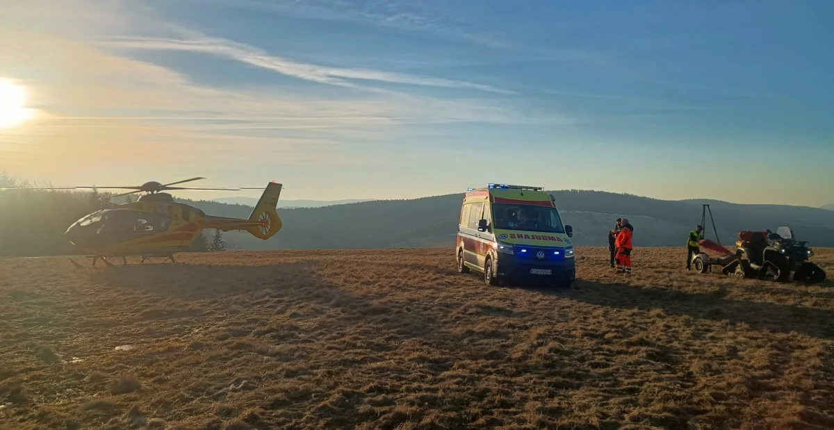 Poważny wypadek w ostatni weekend ferii w Beskidzie Niskim. Ratownicy grupy krynickiej GOPR pomagali kobiecie, której po upadku w pachwinę wbił się korzeń. Konieczne było wykorzystanie śmigłowca Lotniczego Pogotowia Ratunkowego. 