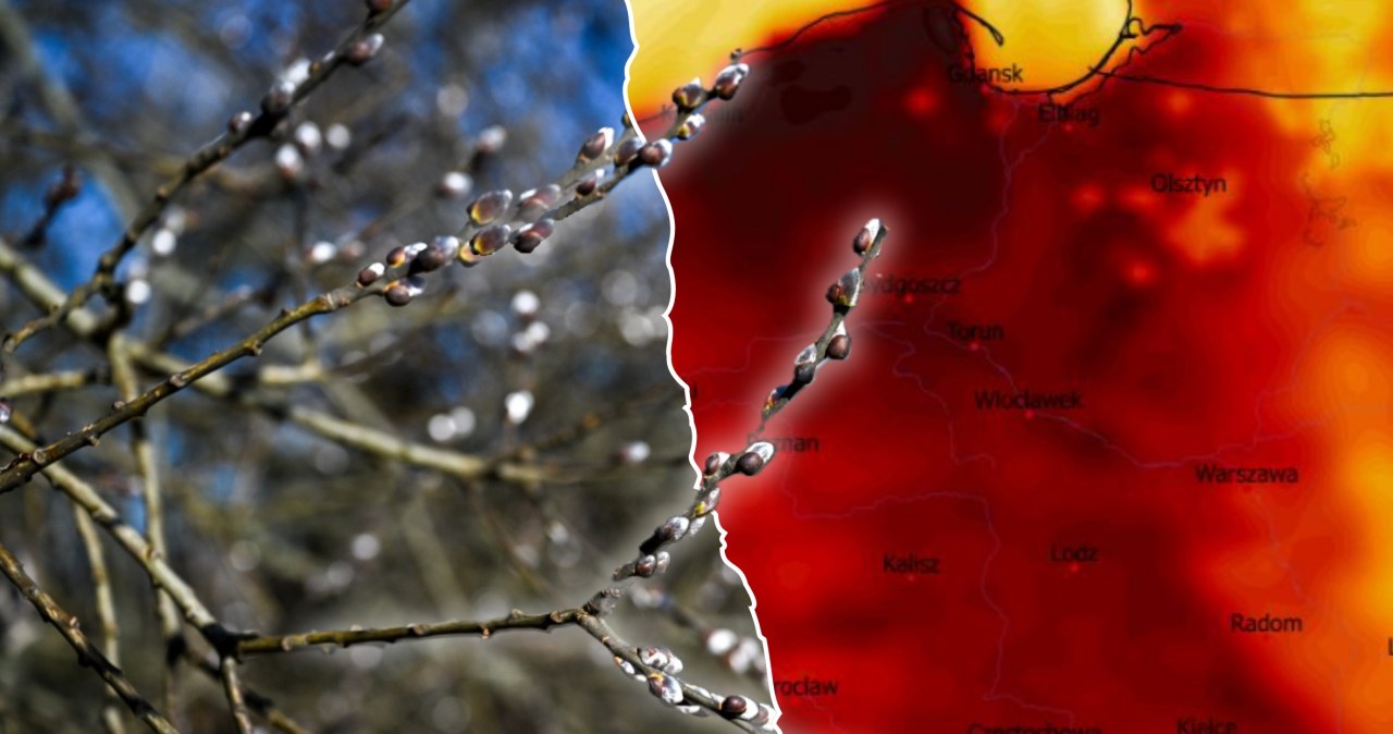 Wiosna umacnia się w Polsce. Nie wszędzie będzie jednak słonecznie