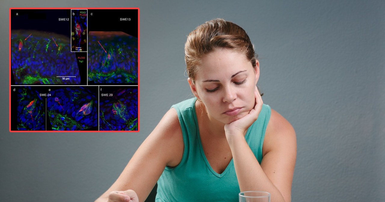 Naukowcy odkryli przyczynę długotrwałej utraty smaku po COVID-19