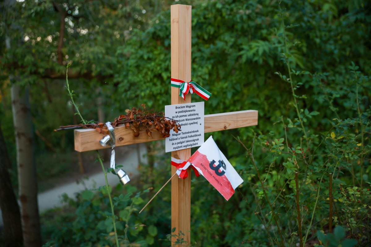 ​Krzyże w zaroślach. Dewastacja na Kopcu Powstania Warszawskiego