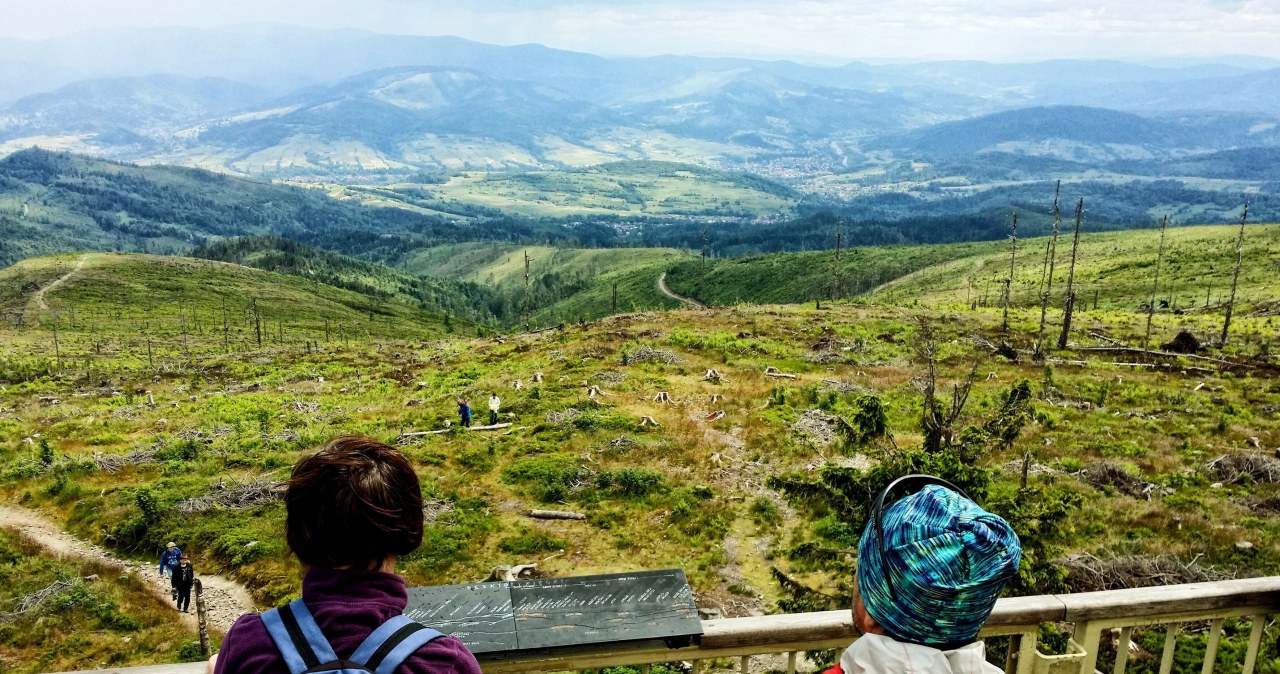 Idealna trasa na wiosenną wycieczkę. Wejście łatwe, a widok z wieży robi wrażenie