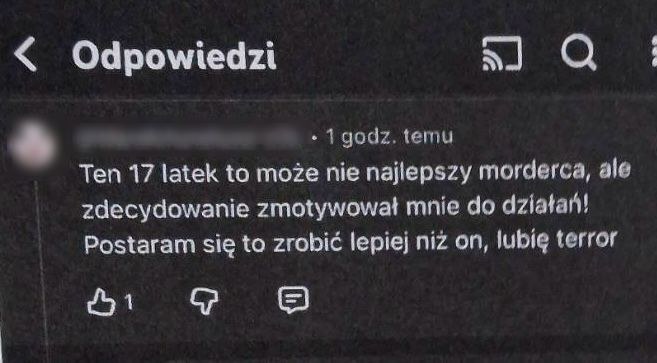 /Policja /