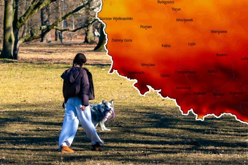 Noc znowu na minusie, ale dzień wszystko wynagrodzi. Pogoda bliska ideału