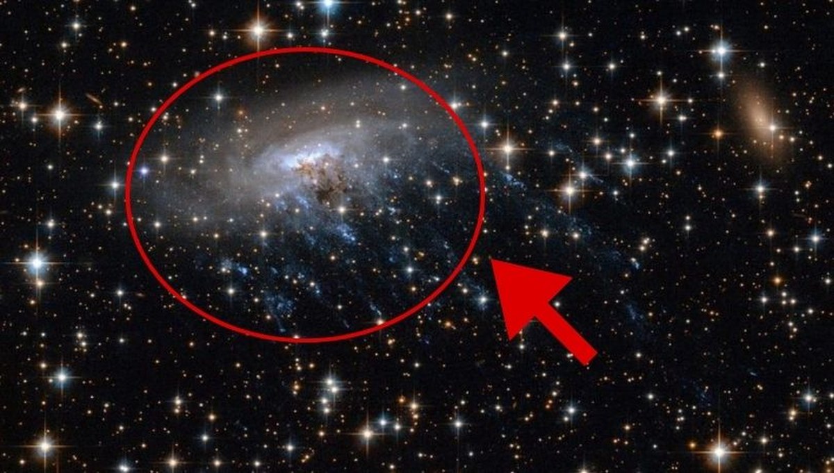 Najodleglejsza "meduza" we Wszechświecie. Takiej galaktyki jeszcze nie widzieliśmy